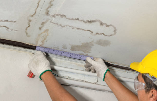 Reliable Basement Water Removal contractor in Stanley, NC by Water Damage Irwin